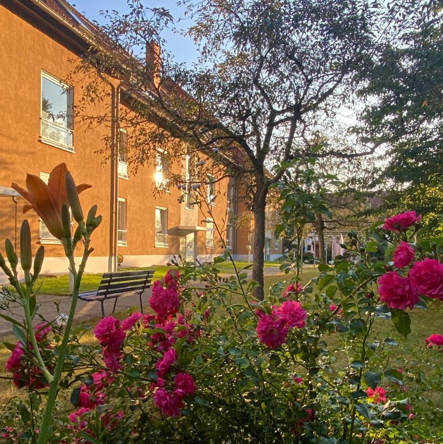 Apartment Casa Heideweg Mit Tg Direkt An Der Heide E-bike Dresden